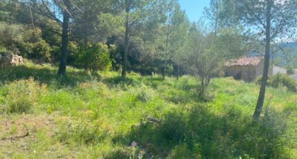 Bize-Minervois Terrain à bâtir - 2186463-692annonce420250610hhBzT.jpeg Maisons France Confort