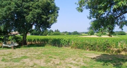Baron Maison neuve - 2186682-11193annonce120250610yPH83.jpeg Maisons France Confort