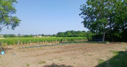 Baron Maison neuve - 2186696-11193annonce120250610XaOzI.jpeg Maisons France Confort