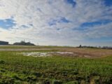 Maison à construire à Bréauté (76110) 2186686-11180annonce120250610FTCt3.jpeg Maisons France Confort
