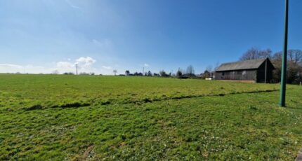 Beuzeville-la-Grenier Maison neuve - 2186695-11180annonce120250610r4J7L.jpeg Maisons France Confort