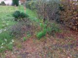 Terrain à bâtir à Marcheprime (33380) 2186724-1072annonce120250610LoVbK.jpeg Maisons France Confort