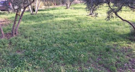 Miramas Maison neuve - 2186733-11041annonce1202506118b2t7.jpeg Maisons France Confort