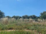 Terrain à bâtir à Opio (06650) 2186881-1837annonce320250611tsskX.jpeg Maisons France Confort