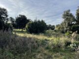 Terrain à bâtir à Saint-Siffret (30700) 2186942-4620annonce120250611cvaLW.jpeg Maisons France Confort