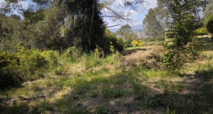 Grasse Terrain à bâtir - 2186902-1837annonce320250611gWHFR.jpeg Maisons France Confort