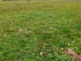 Maison à construire à Verneuil-sur-Vienne (87430) 2187575-3291annonce120250611az9CG.jpeg Maisons France Confort
