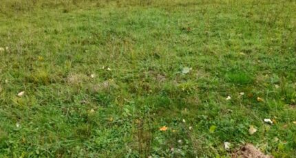 Verneuil-sur-Vienne Maison neuve - 2187589-3291annonce120250611hBIvg.jpeg Maisons France Confort