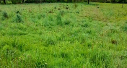 Couzeix Terrain à bâtir - 2187553-3291annonce2202506118CDmt.jpeg Maisons France Confort