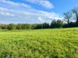 Terrain à bâtir à Jayat (01340) 2187532-754annonce220250611zHMHq.jpeg Maisons France Confort