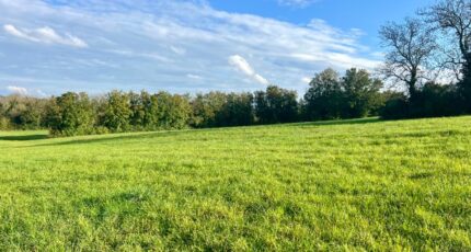 Jayat Terrain à bâtir - 2187532-754annonce220250611zHMHq.jpeg Maisons France Confort
