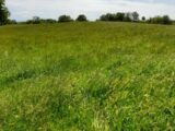 Terrain à bâtir à Limoges (87100) 2187948-3291annonce120250611SnJg7.jpeg Maisons France Confort