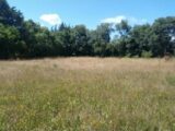 Maison à construire à Istres (13800) 2114578-417annonce120250321K1vSa.jpeg Maisons France Confort