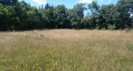 Istres Terrain à bâtir - 2114473-417annonce120250321K1vSa.jpeg Maisons France Confort