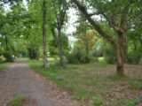 Terrain à bâtir à Le Teich (33470) 2188232-10890annonce320250612Qc1rc.jpeg Maisons France Confort