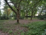 Terrain à bâtir à Le Teich (33470) 2188248-10890annonce120250612polDn.jpeg Maisons France Confort