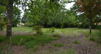Le Teich Maison neuve - 2188333-10890annonce220250612Il16v.jpeg Maisons France Confort