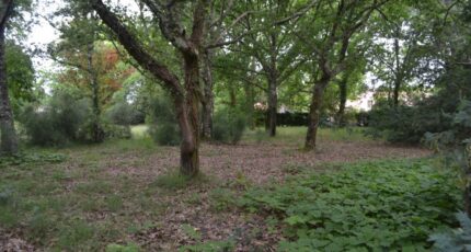 Le Teich Maison neuve - 2188317-10890annonce120250612polDn.jpeg Maisons France Confort