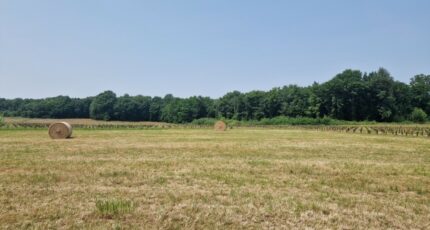 Chérac Terrain à bâtir - 2186150-11315annonce220250610cTlzw.jpeg Maisons France Confort