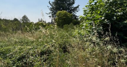 Monteux Terrain à bâtir - 2188450-3418annonce320250612sndr6.jpeg Maisons France Confort