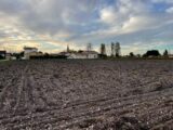 Maison à construire à Cussac-Fort-Médoc (33460) 2185514-11280annonce120250610U9iRS.jpeg Maisons France Confort