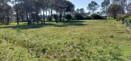 Terrain à bâtir à Puget-sur-Argens, Provence-Alpes-Côte d'Azur