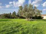 Terrain à bâtir à Bollène (84500) 2188995-6150annonce420241020FSMK5.jpeg Maisons France Confort