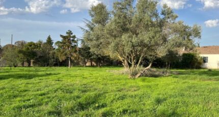 Bollène Terrain à bâtir - 2188995-6150annonce420241020FSMK5.jpeg Maisons France Confort