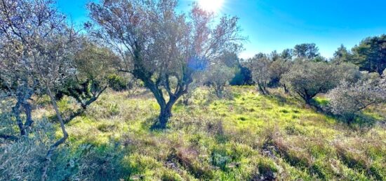 Terrain à bâtir à Bagnols-en-Forêt, Provence-Alpes-Côte d'Azur
