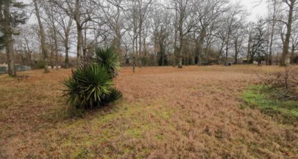 Bernos-Beaulac Maison neuve - 2189079-9573annonce120250612Tk2gb.jpeg Maisons France Confort