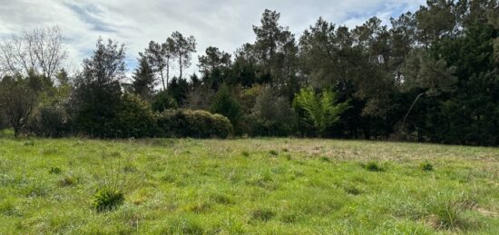 Terrain à bâtir à Saint-Selve, Nouvelle-Aquitaine