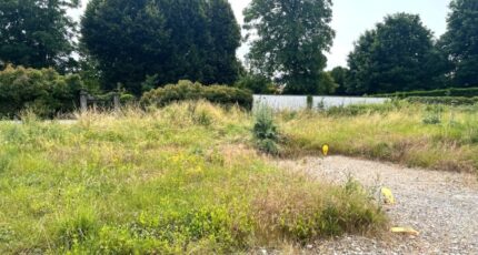 Solaize Terrain à bâtir - 2188399-11317annonce320250612J4J4t.jpeg Maisons France Confort