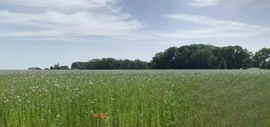 Terrain à bâtir à Sainte-Marie-des-Champs, Normandie