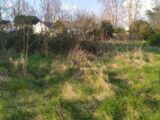 Terrain à bâtir à Podensac (33720) 2189338-11141annonce120250526fPiUb.jpeg Maisons France Confort