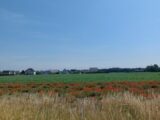 Terrain à bâtir à Algolsheim (68600) 2188118-5767annonce120250612J02oJ.jpeg Maisons France Confort