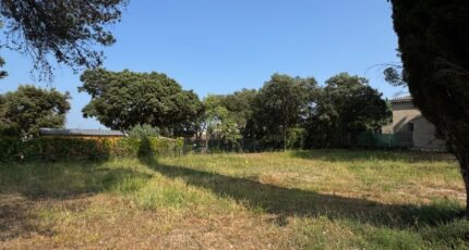 Castries Maison neuve - 2188003-11455annonce120250611F0vTw.jpeg Maisons France Confort