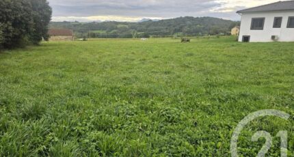Balesta Terrain à bâtir - 2124652-4594annonce220250404UQPns.jpeg Maisons France Confort