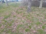 Terrain à bâtir à Lège-Cap-Ferret (33950) 2189597-11244annonce320250612vy14P.jpeg Maisons France Confort
