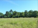Terrain à bâtir à Le Barp (33114) 2189660-5612annonce120250612WpGTQ.jpeg Maisons France Confort
