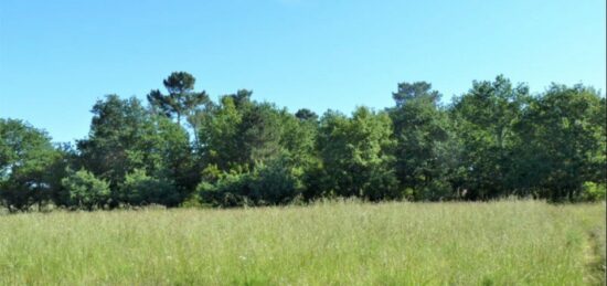Terrain à bâtir à Le Barp, Nouvelle-Aquitaine