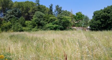 Saint-Geniès-des-Mourgues Terrain à bâtir - 2189672-11040annonce120250612GisfO.jpeg Maisons France Confort
