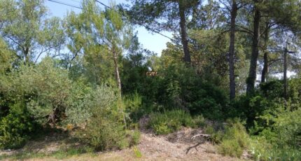 Saint-Drézéry Maison neuve - 2189687-11040annonce120250612mrBDg.jpeg Maisons France Confort