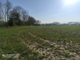 Terrain à bâtir à Lieurey (27560) 2189110-4101annonce120250612XcuTC.jpeg Maisons France Confort