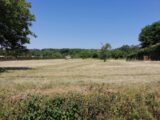Terrain à bâtir à Trélissac (24750) 2189825-11235annonce120250613xzTHC.jpeg Maisons France Confort