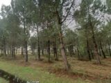 Maison à construire à Andernos-les-Bains (33510) 2190280-10481annonce120240830SITTB.jpeg Maisons France Confort