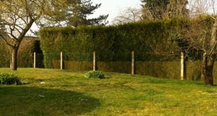 Verrières-le-Buisson Maison neuve - 2191119-3175annonce1202506137LDtr.jpeg Maisons France Confort