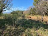 Maison à construire à Puget-Ville (83390) 2191322-5622annonce220250613dfVVU.jpeg Maisons France Confort