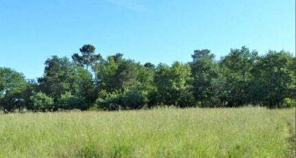 Le Barp Maison neuve - 2191201-5612annonce120250612C7kky.jpeg Maisons France Confort