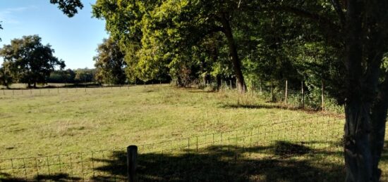 Terrain à bâtir à Croignon, Nouvelle-Aquitaine