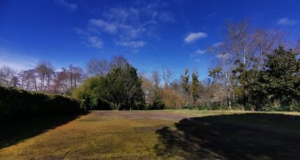 Uzeste Terrain à bâtir - 2191460-9573annonce120250613CnEoF.jpeg Maisons France Confort
